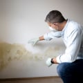 How to Get Rid of Mold in the Air for Good