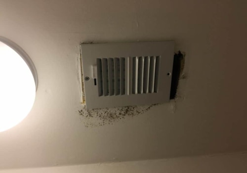 Is Mold in Air Vents Dangerous? - A Professional's Guide