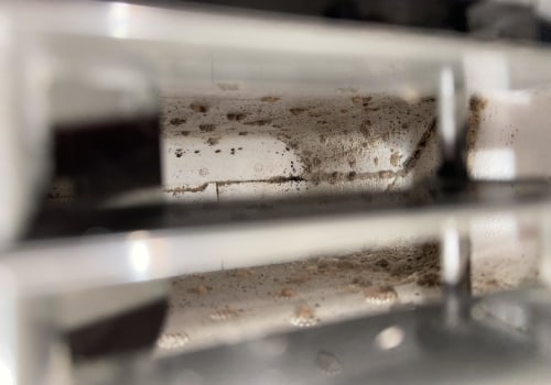 Can You Get Sick from Mold in Vents? - An Expert's Perspective