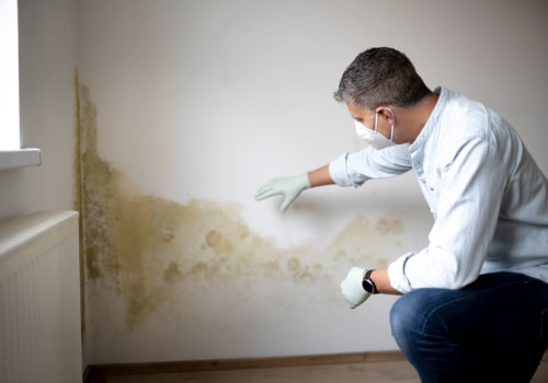 How to Get Rid of Mold in the Air for Good